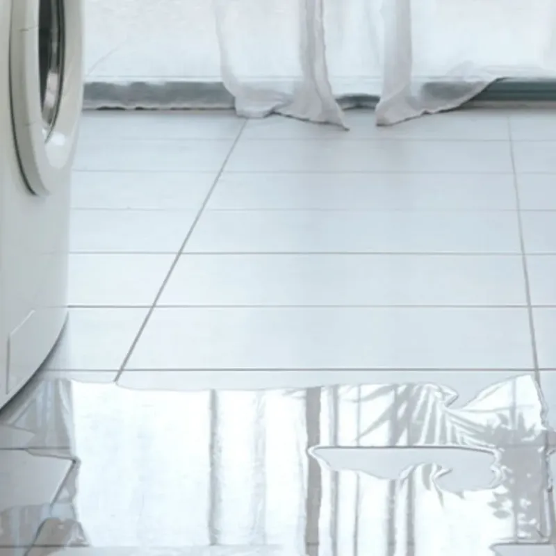 Appliance Leak Cleanup in Hudson, TX