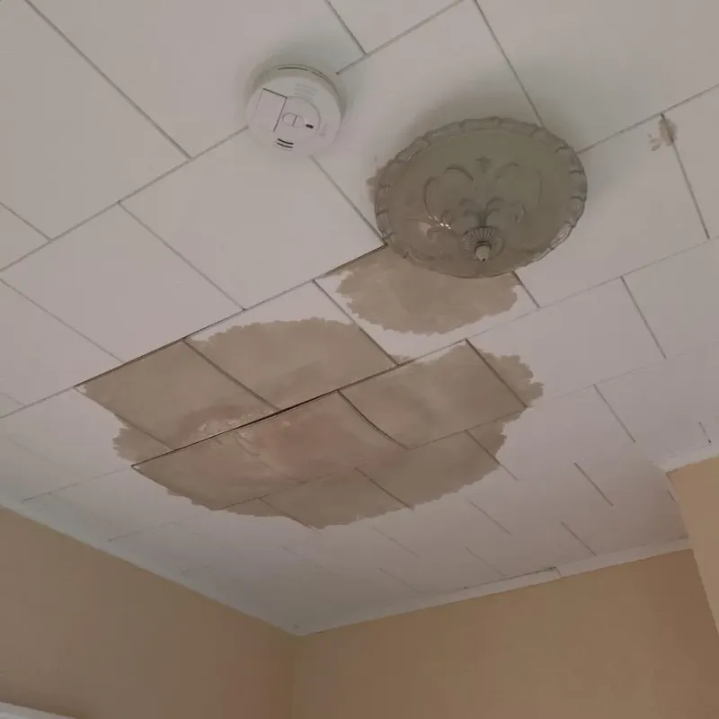 Ceiling Water Damage Repair in Hudson, TX