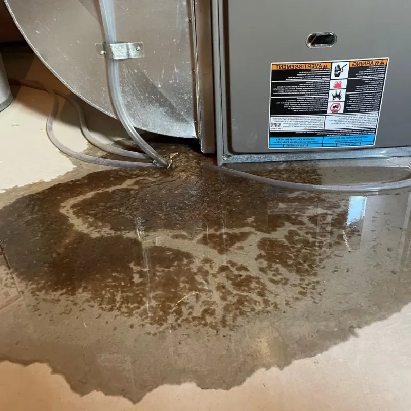 Pipe Burst and Leak Restoration in Hudson, TX
